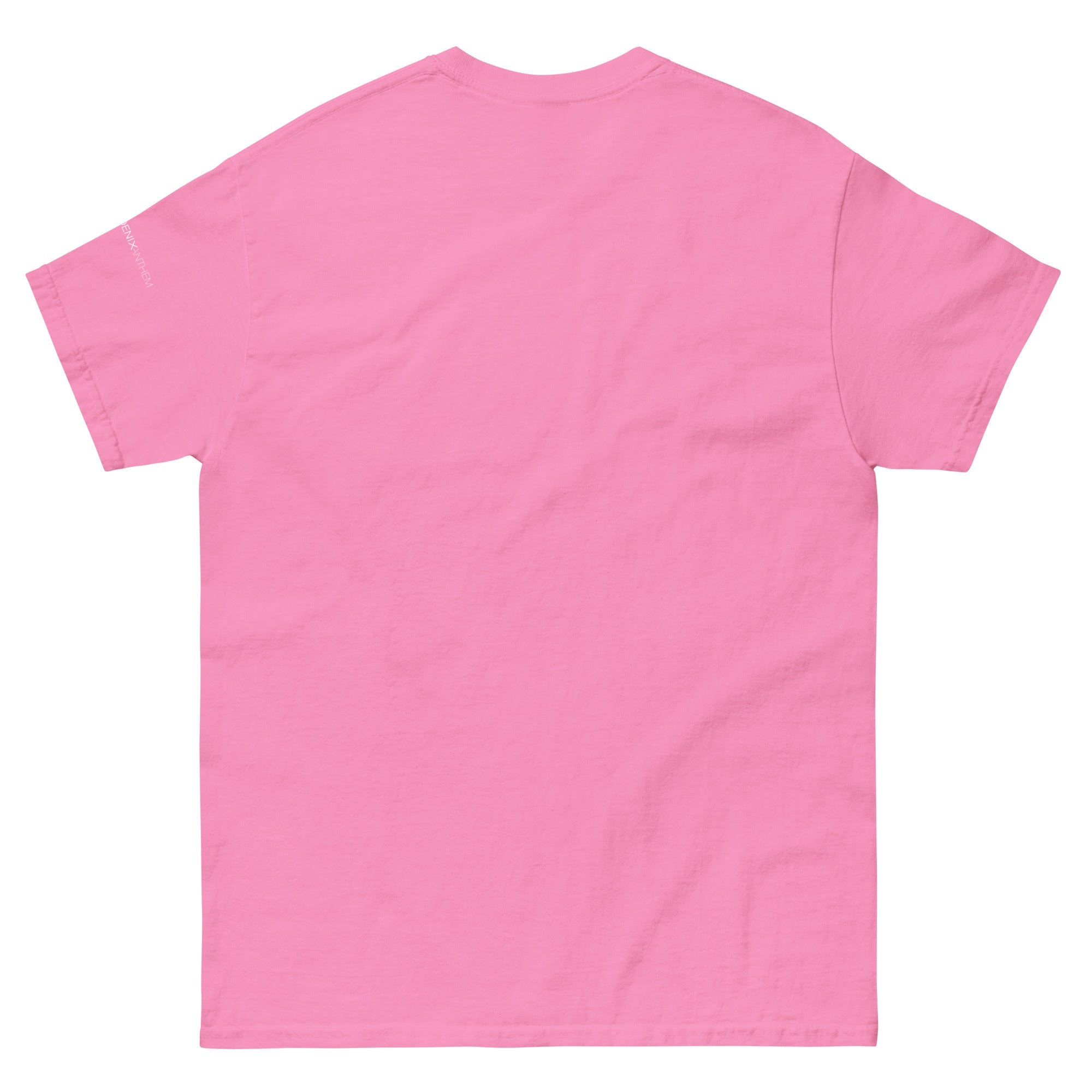 "Law & Gospel Since 1517" Unisex Classic Tee - Phoenix Anthem, LLC