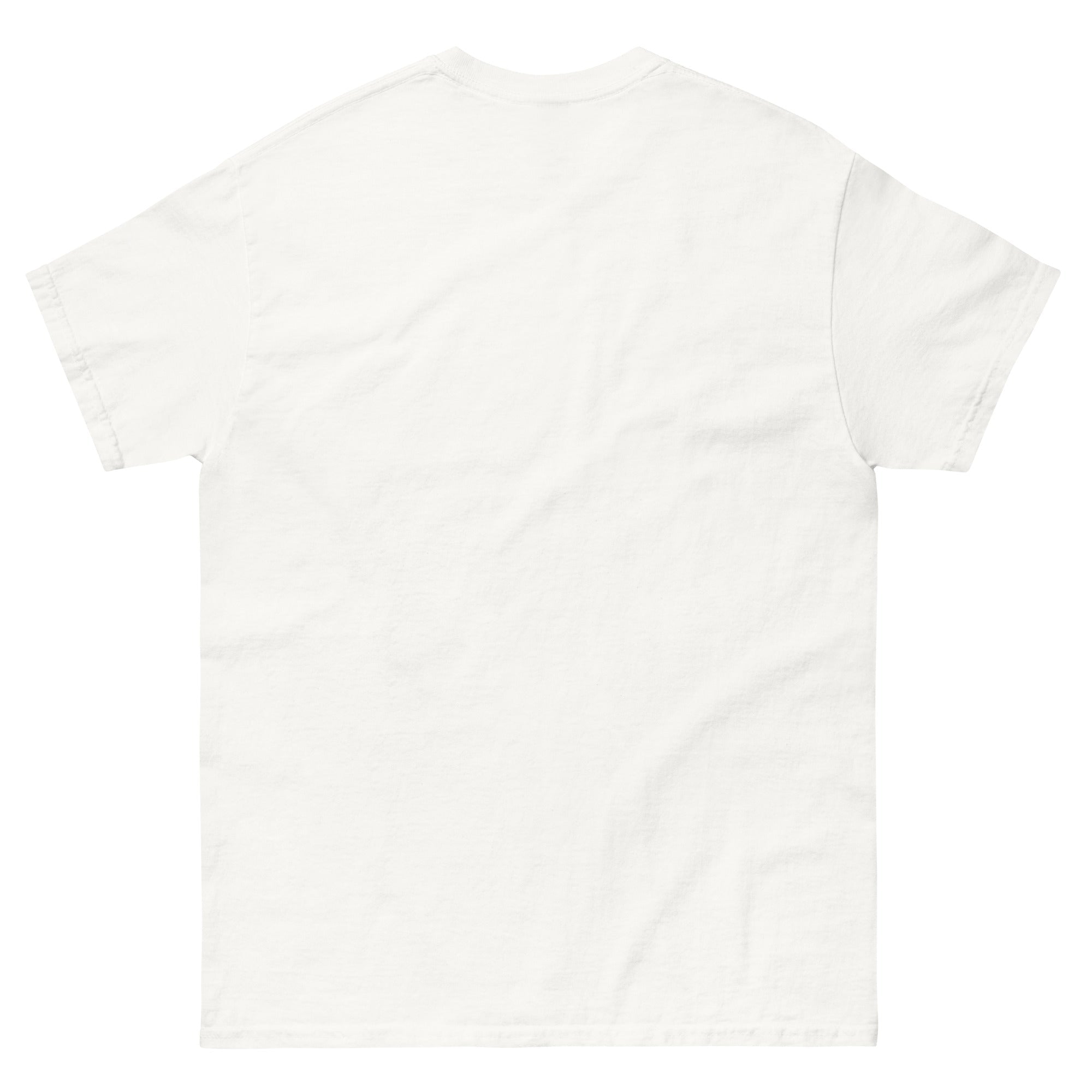 "Law & Gospel Since 1517" Unisex Classic Tee - Phoenix Anthem, LLC