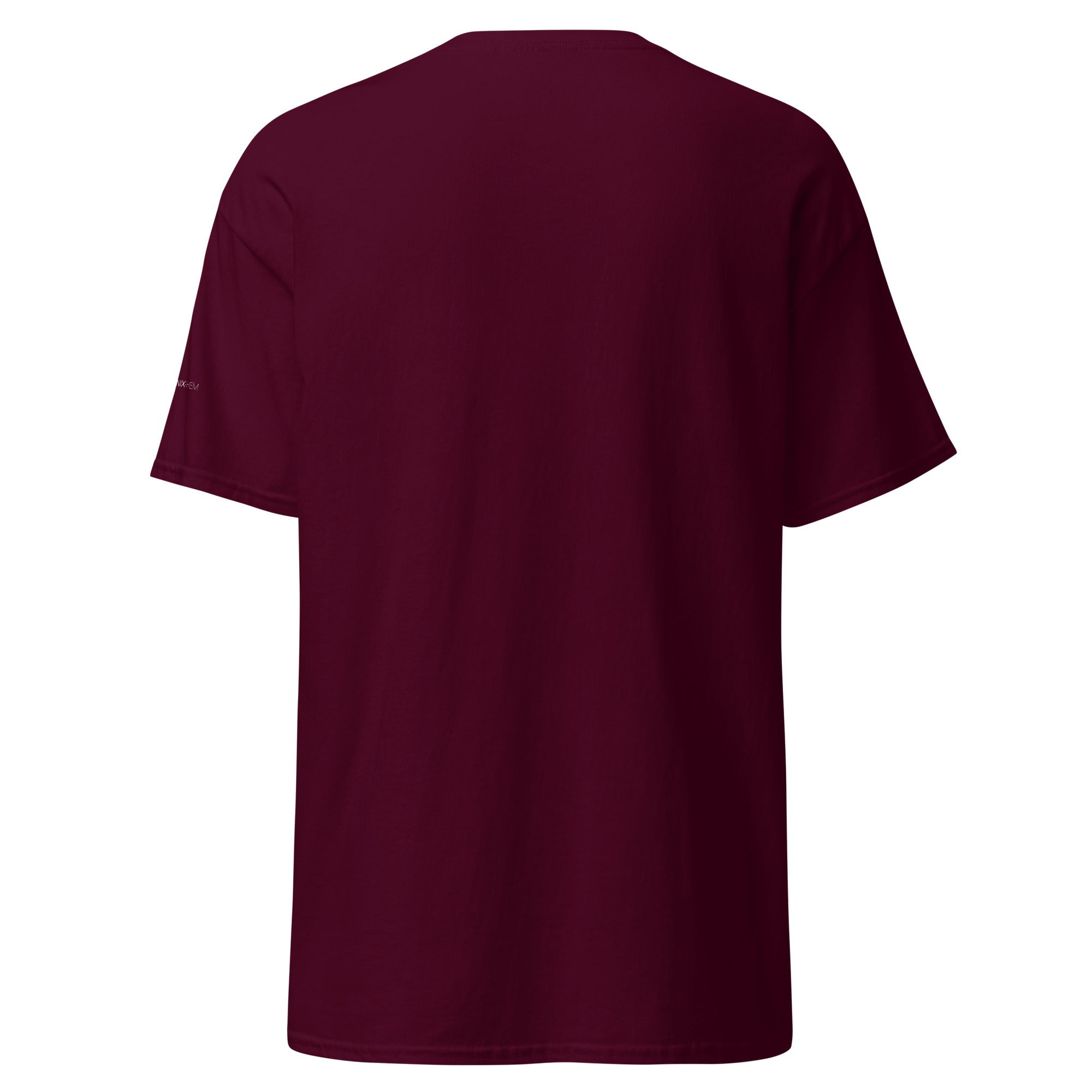 "Law & Gospel Since 1517" Unisex Classic Tee - Phoenix Anthem, LLC