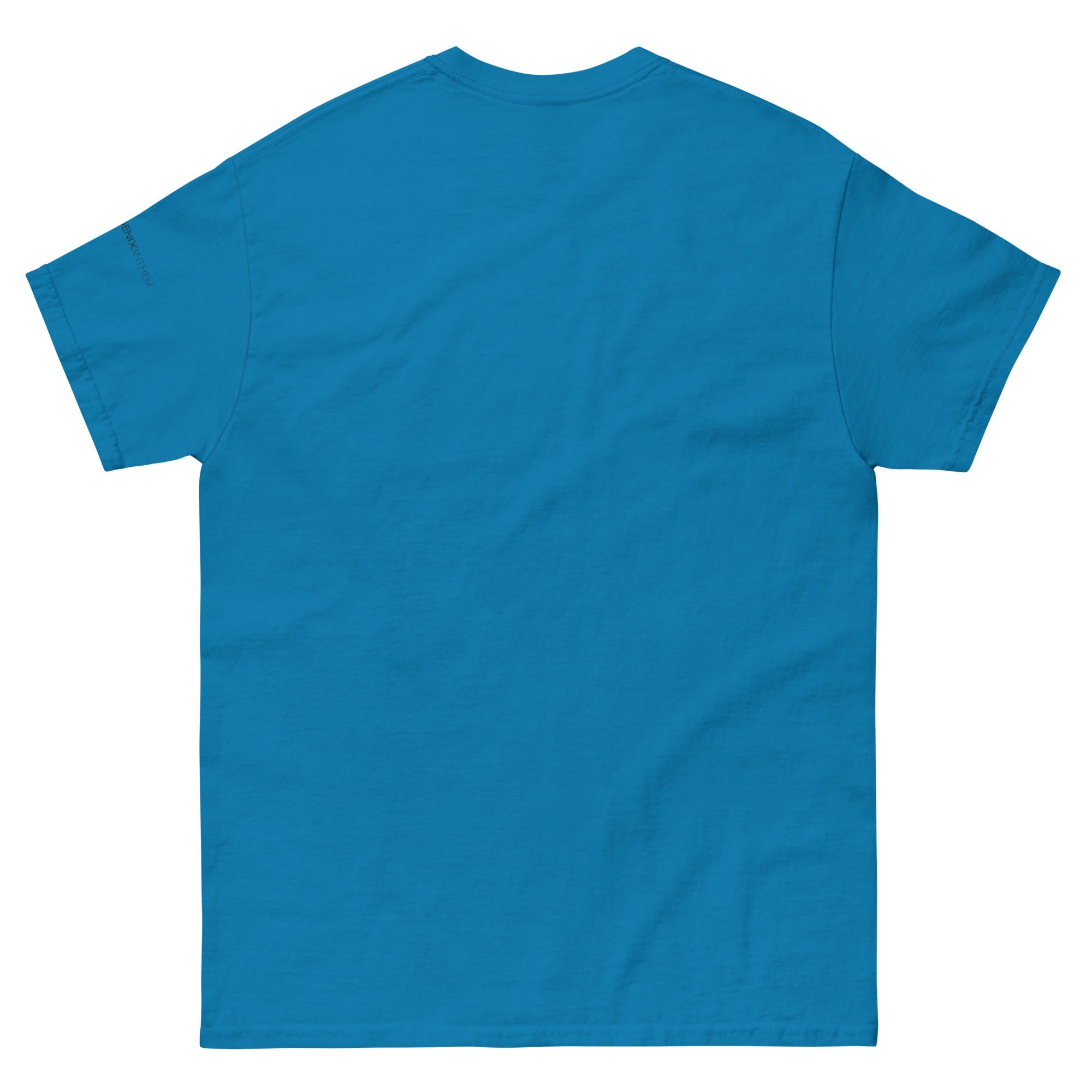 "Send Me" Unisex Classic Tee - Phoenix Anthem, LLC